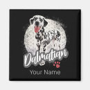 Suche nach dalmatinischer hund magnete Hundefreund