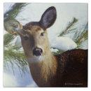 Suche nach mit rotwild fliesen Wild lebende tiere