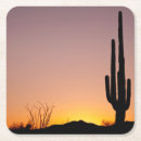 Suche nach tucson untersetzer Sonnenuntergang