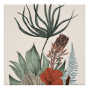 Suche nach protea blume poster Botanisch