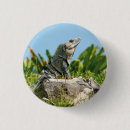 Suche nach iguana buttons Eidechse