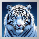Suche nach weißer tiger poster Große katzen