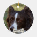 Suche nach border collie ornamente Niedlich