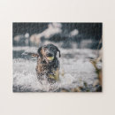 Suche nach schwarzer labrador puzzle Niedlich
