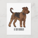 Suche nach airedales postkarten Airedale terrier
