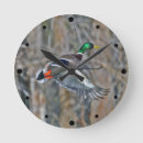 Suche nach enten flug poster Tiere