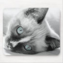 Suche nach fell mousepads Kätzchen