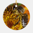 Suche nach honigbienen ornamente Imker