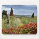 Suche nach weinberg mousepads Toskana