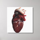 Suche nach arterien leinwandbilder Menschliche anatomie