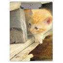 Suche nach tabelle klemmbrett Katze