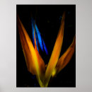 Suche nach colourful poster Orange