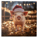 Suche nach schwein fliesen Ferkel