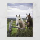 Suche nach zaun postkarten Im freien