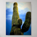 Suche nach phoenix kunst poster Cactus