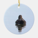 Suche nach enten schmuck Fotografie