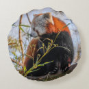 Suche nach roter panda kissen Niedlich
