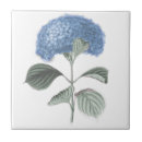 Suche nach hydrangea blume fliesen Blau
