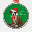 Suche nach hundeschlitten ornamente Festlich