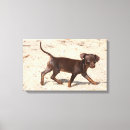 Suche nach laufen leinwandbilder Sand