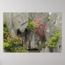 Suche nach huangshan poster Baum