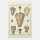 Suche nach muschel geschirr tücher Ozean