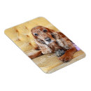 Suche nach gedächtnis magnete Haustiere