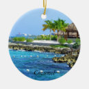 Suche nach karibische ornamente Ferien