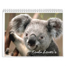 Suche nach koala kalender Tier