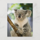 Suche nach ozeanien postkarten Queensland