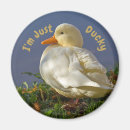 Suche nach niedliche enten magnete Natur