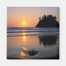 Suche nach trinidad magnete Baum