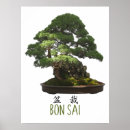 Suche nach bonsai geschenke Japan