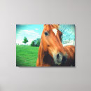 Suche nach gelding Pferd