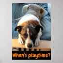 Suche nach hundeplakate poster Haustiere