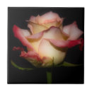 Suche nach beileid fliesen Erinnerung