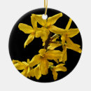 Suche nach strauch ornamente Botanisch