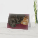 Suche nach best friends forever karten Katze
