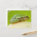 Suche nach baumfrosch postkarten Tierfotografie