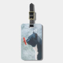 Suche nach schwarze katze accessoires Tiere