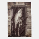 Suche nach weiße pferde geschirr tücher Weißes pferd