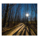 Suche nach walnuss poster Baum