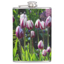 Suche nach tulpen flachmänner Weiß