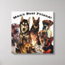 Suche nach husky leinwandbilder Hundeliebhaber