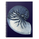 Suche nach muscheln kleine notizbücher Muschel des meeres