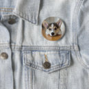 Suche nach corgie buttons Welpe