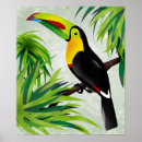 Suche nach exotic poster Toucan