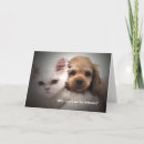 Suche nach warum… postkarten Friend