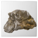 Suche nach naturwissenschaften fliesen Mineral