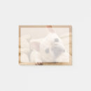 Suche nach junges tier post it Welpe